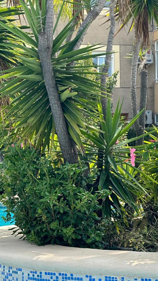 Appartement La Rosaleda 17 Dénia