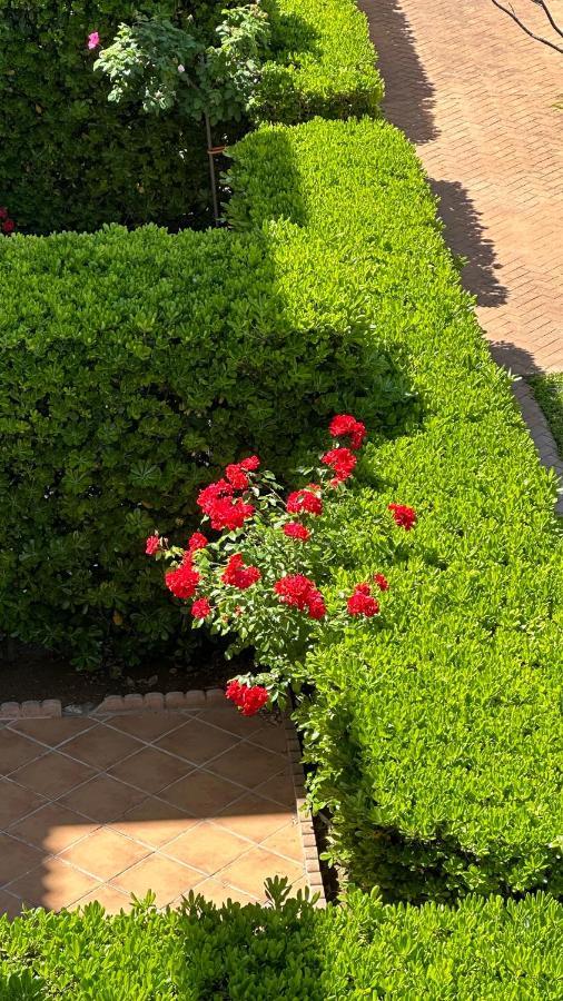 Apartment La Rosaleda 17