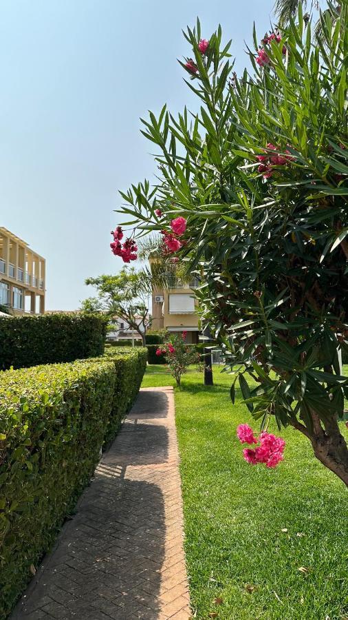 Apartment La Rosaleda 17 Denia